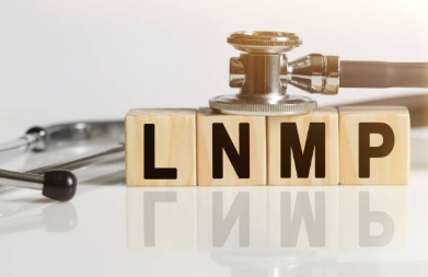 lnmp en lettre domino